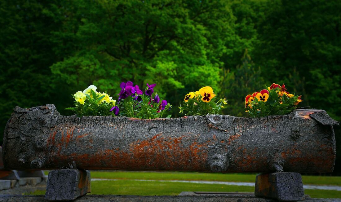 Photo of a designer flower pot with various flowers in it