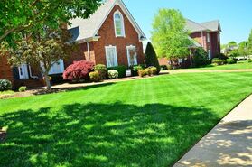Photo of a freshly mowed and maintained front yard
